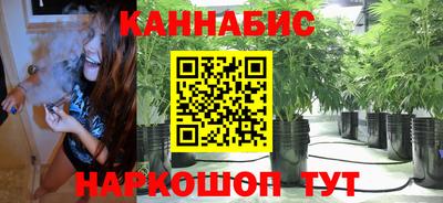 амф Новокубанск