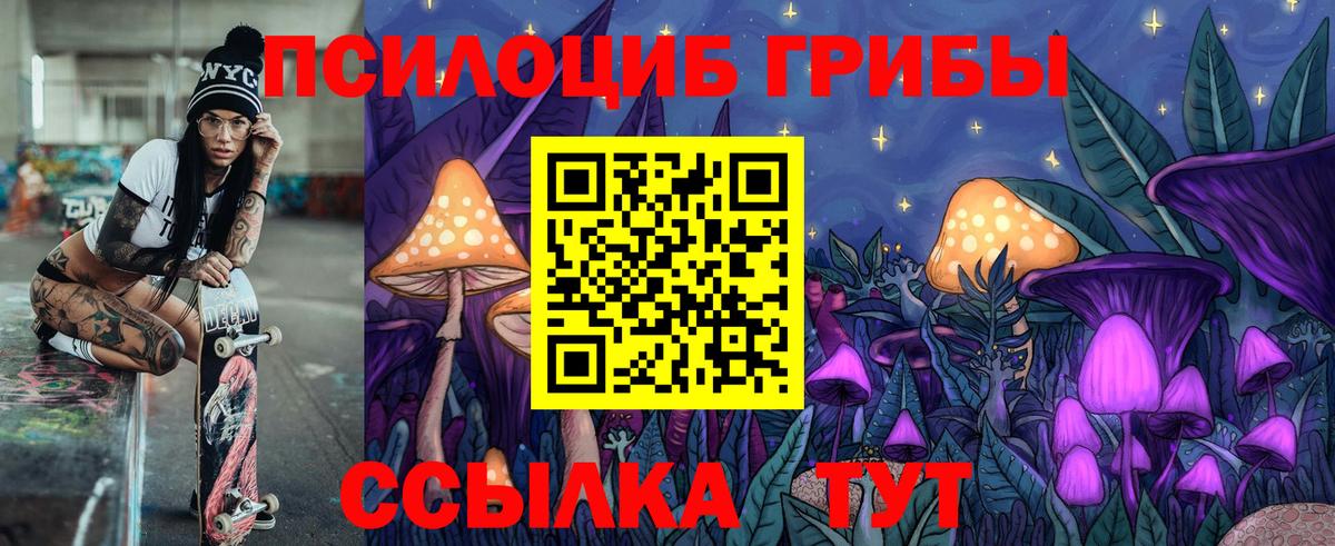 Псилоцибиновые грибы Psilocybe Солнечногорск