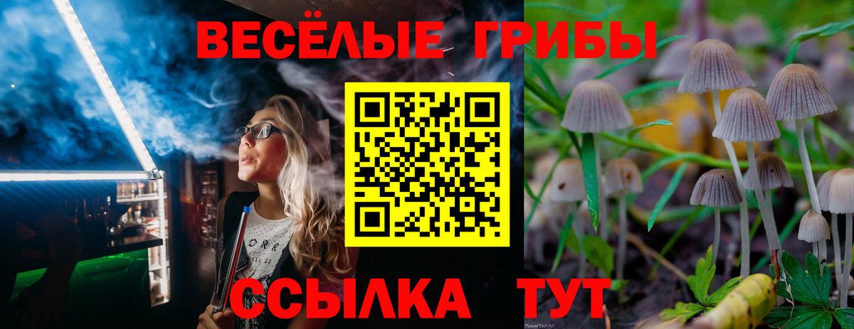 Галлюциногенные грибы мухоморы  Вход с VPN  Псилоцибиновые грибы Magic Shrooms  Солнечногорск 